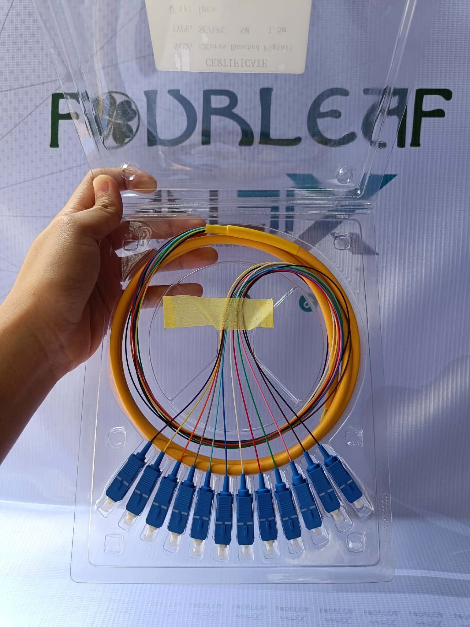 12 core pigtails